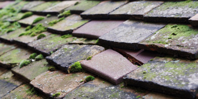 Cefn Bryn Brain roof repair costs